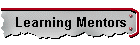 Learning Mentors