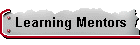 Learning Mentors