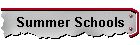 Summer Schools