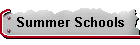 Summer Schools